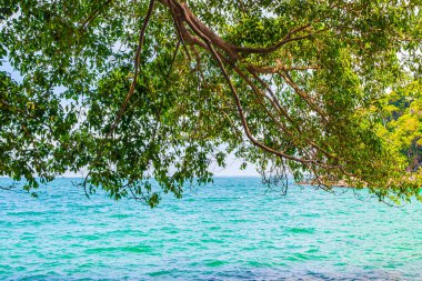 Khao Lak Khuekkhak Takua Pa Phang-nga Tayland 'daki Lam ru Lamru Milli Parkı' nın muhteşem sahil manzarası ve manzarası..
