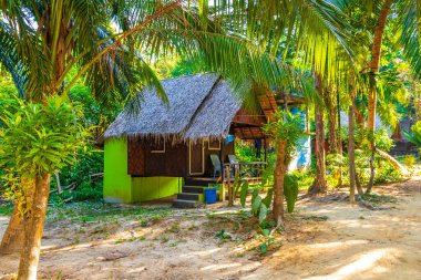 Ranong Tayland 'daki Koh Phayam adasındaki tropikal orman cennetinde ahşap kulübeleri olan doğal tropik Tayland plajı tatil köyü..