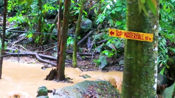 泰国Koh Samui热带雨林的王圣多通瀑布 — 图库视频影像