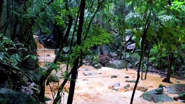 Wang Sao Thong Wodospad Tropikalnym Lesie Deszczowym Koh Samui Tajlandia — Wideo stockowe