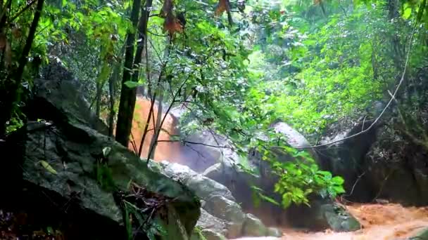 Wang Sao Perizoma Cascata Nella Foresta Pluviale Tropicale Koh Samui — Video Stock