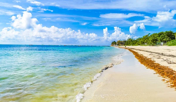 Vista Panorâmica Praia Tropical Mexicana Com Água Azul Turquesa Playa — Fotografia de Stock