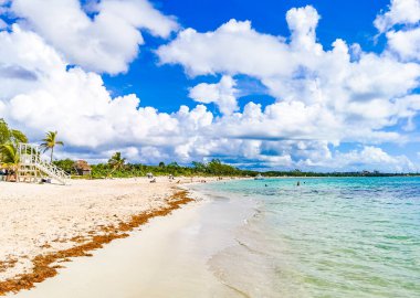 Playa 88 'den turkuaz mavi su ve Playa del Carmen Meksika' dan Punta Esmeralda ile tropik Meksika sahili manzarası.