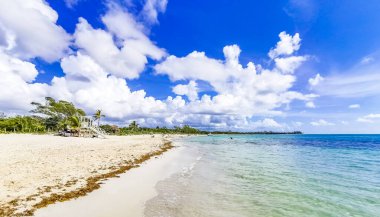 Playa 88 'den turkuaz mavi su ve Playa del Carmen Meksika' dan Punta Esmeralda ile tropik Meksika sahili manzarası.