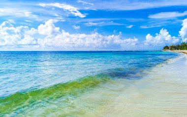 Playa 88 'den turkuaz mavi su ve Playa del Carmen Meksika' dan Punta Esmeralda ile tropik Meksika sahili manzarası.