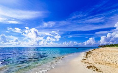 Playa 88 'den turkuaz mavi su ve Playa del Carmen Meksika' dan Punta Esmeralda ile tropik Meksika sahili manzarası.