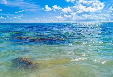 Playa 88 ve Playa del Carmen Meksika 'daki Punta Esmeralda' dan gelen turkuaz mavisi, berrak su cenote ve kaya taşlarıyla tropik Meksika sahili manzarası..