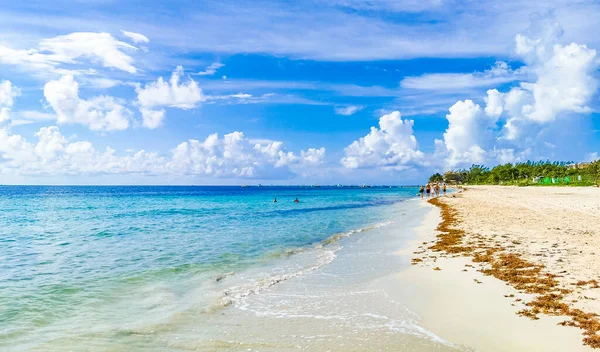 Trópusi Mexikói Strand Panoráma Türkiz Kék Víz Playa Punta Esmeralda — Stock Fotó