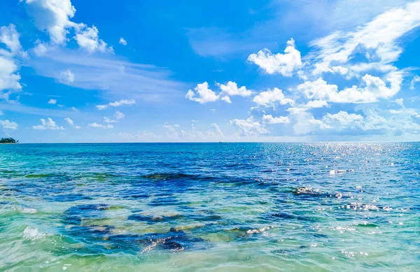 Tropikalny Meksykański Widok Plażę Turkusowym Krystalicznie Czystym Cenotem Wodnym Kamieniami — Zdjęcie stockowe