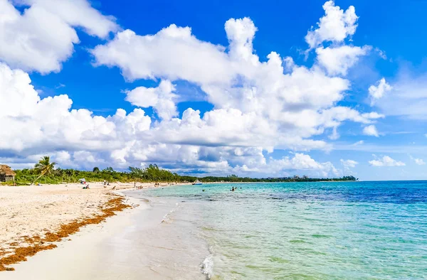 Вид Тропический Мексиканский Пляж Бирюзовой Голубой Водой Playa Пунта Эсмеральда Стоковая Картинка