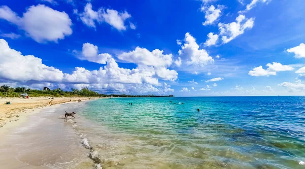 Tropical Mexican Beach Panorama View Playa Punta Esmeralda Playa Del — Stock Photo, Image