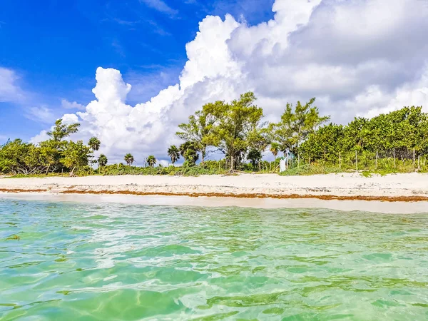 Praia Mexicana Tropical Vista Panorâmica Floresta Natural Com Águas Cristalinas — Fotografia de Stock