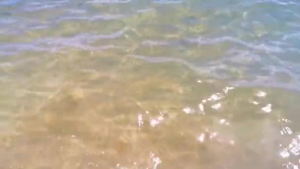 Tropischer Mexikanischer Strandpanoramablick Mit Türkisblauem Und Klarem Wasser Von Playa — Stockvideo