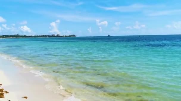 Vista Panorâmica Praia Tropical Mexicana Com Água Azul Turquesa Playa — Vídeo de Stock