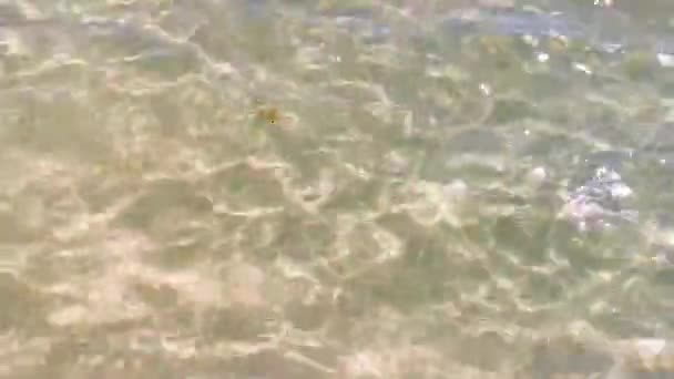 プラヤ カルメン メキシコのプラヤ88とプンタ エスメラルダからターコイズブルーと澄んだ水で熱帯メキシコのビーチパノラマビュー — ストック動画