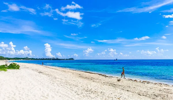 Сексуальная Девушка Красивая Женщина Гуляет Пляжу Собакой Playa Punta Esmeralda — стоковое фото