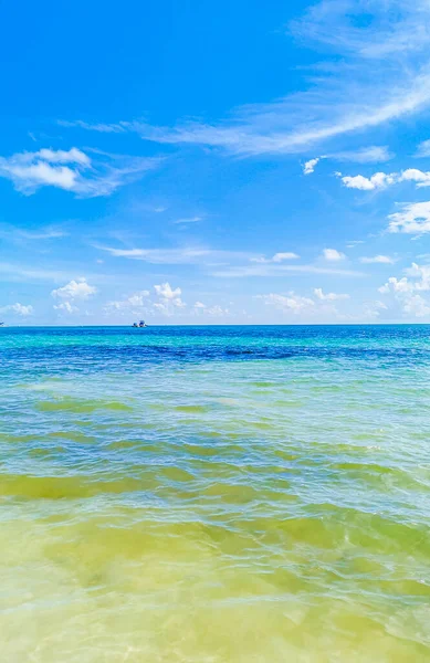 Vista Panoramica Tropicale Sulla Spiaggia Messicana Con Acqua Turchese Blu — Foto Stock