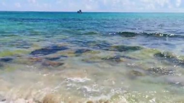 Playa 88 ve Playa del Carmen Meksika 'daki Punta Esmeralda' dan gelen turkuaz mavisi, berrak su cenote ve kaya taşlarıyla tropik Meksika sahili manzarası..