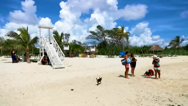 Playa Del Carmen September 2021 Tropical Mexican Beach Panorama View — Stock Video