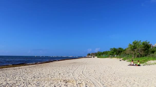 Playa Del Carmen Sierpień 2021 Tropikalny Meksykański Widok Plażę Playa — Wideo stockowe