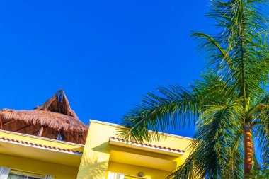 Playa del Carmen Meksika 'da palmiye ağaçları olan tipik sarı konutlu otel binası..