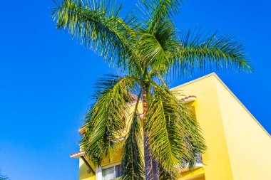 Playa del Carmen Meksika 'daki tipik sarı konutlu otel binası..