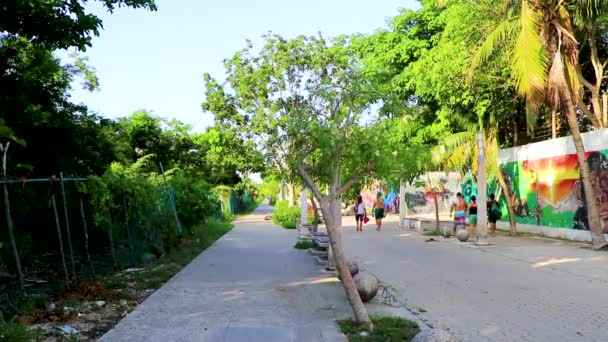 Playa Del Carmen Mexico August 2021 Typical Street Road Cityscape — Stock Video
