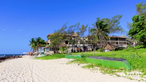Playa Del Mexico Август 2021 Года Отвратительное Красное Саргасо Курорте — стоковое видео