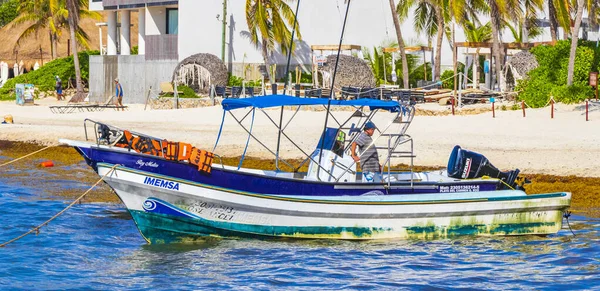 Playa Del Carmen Mexico Augustus 2021 Boten Jachten Tropisch Mexicaans — Stockfoto