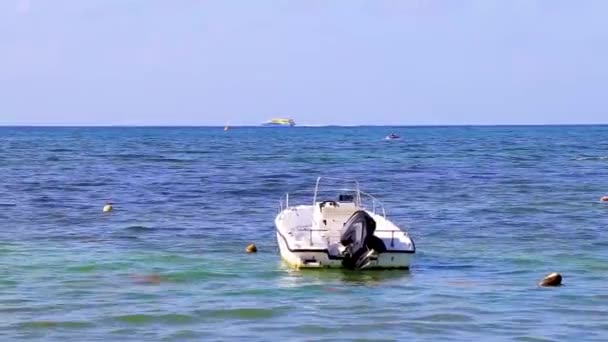 Boote Und Yachten Tropischen Mexikanischen Strand Von Playa Del Carmen — Stockvideo