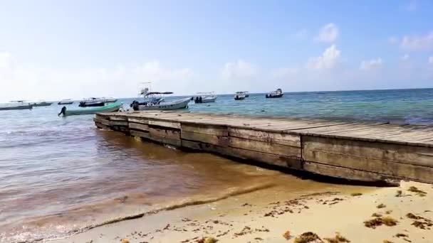 プラヤデルカルメンメキシコの熱帯メキシコのビーチでのボートやヨット — ストック動画
