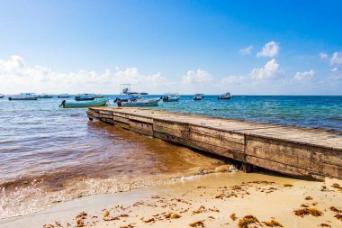 Playa del Carmen Meksika 05. Ağustos 2021 yat iskelesi ve Playa del Carmen Meksika 'daki tropik Meksika plajında bir sürü iğrenç kırmızı yosun sargazosu..