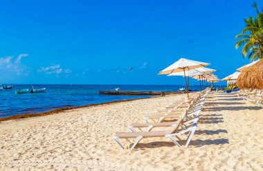 Palmiye ağaçları şemsiyeler ve güneş şemsiyeleri Playa del Carmen Mexico 'daki tropik Meksika sahillerindeki resif coco plajı tatil beldesinde..