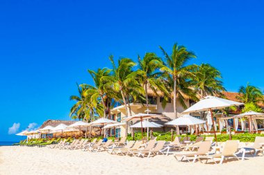 Palmiye ağaçları şemsiyeler ve güneş şemsiyeleri Playa del Carmen Mexico 'daki tropik Meksika sahillerindeki resif coco plajı tatil beldesinde..
