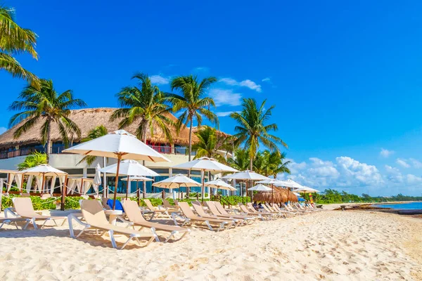 Ombrelloni Sedie Sdraio Nella Località Balneare Cocco Sulla Spiaggia Tropicale — Foto Stock
