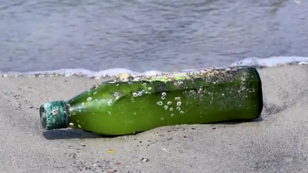 Plastic Bottle Stranded Washed Garbage Waste Trash Pollution Botafogo Beach — Stockvideo