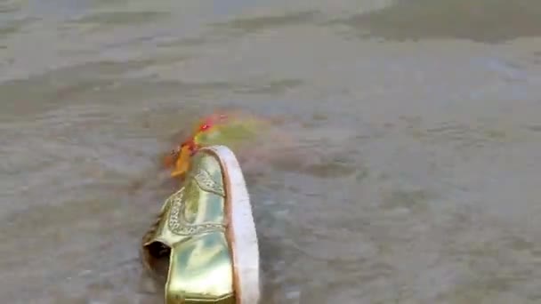 Rio Janeiro Brazil October 2020 Golden Shoe Stranded Washed Garbage — Video Stock