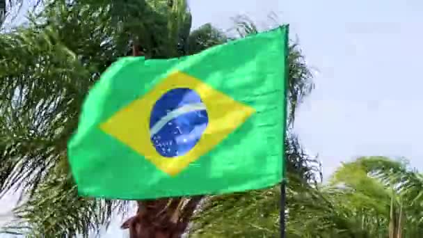 Braziliaanse Vlag Wapperend Wind Met Palmbomen Blauwe Lucht Achtergrond Rio — Stockvideo