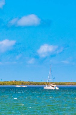 Quintana Roo Mexico 'da liman yatları ve turkuaz su ile güzel Holbox adası manzarası.