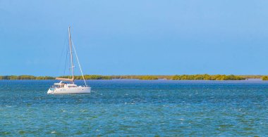 Quintana Roo Mexico 'da liman yatları ve turkuaz su ile güzel Holbox adası manzarası.
