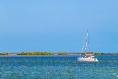 Quintana Roo Mexico 'da liman yatları ve turkuaz su ile güzel Holbox adası manzarası.