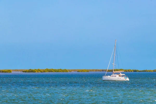 Quintana Roo Mexico 'da liman yatları ve turkuaz su ile güzel Holbox adası manzarası.