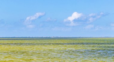 Quintana Roo Mexico 'da köy limanı ve turkuaz suyu olan güzel Holbox adası manzarası.