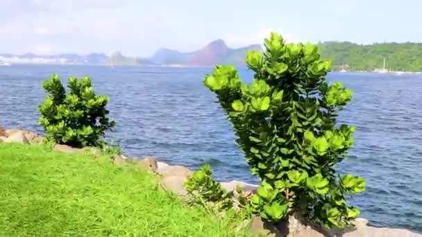 Hermoso Panorama Del Paisaje Costa Las Montañas Colinas Niteri Detrás — Vídeos de Stock