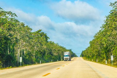 Ormandaki otoyolda konteynır taşıyan kamyon ve Quintana Roo Mexico 'daki Playa del Carmen' in tropikal doğası..
