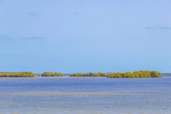 Panorama Paysage Sur Belle Île Holbox Les Îles Autour Avec — Photo