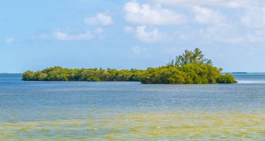 Güzel Holbox adası ve çevresindeki doğal orman ve Quintana Roo Mexico 'daki turkuaz su manzarası..