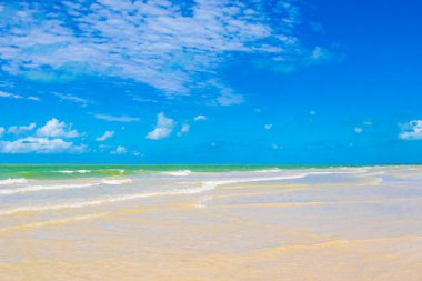 Panorama manzaralı güzel Holbox adası kumsalı ve kumsalı Quintana Roo Mexico 'da turkuvaz su ve mavi gökyüzü.