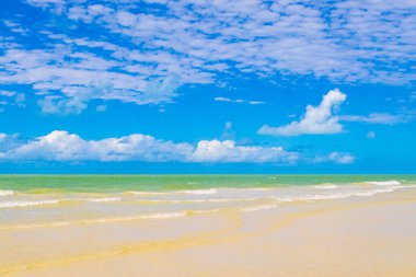 Panorama manzaralı güzel Holbox adası kumsalı ve kumsalı Quintana Roo Mexico 'da turkuvaz su ve mavi gökyüzü.