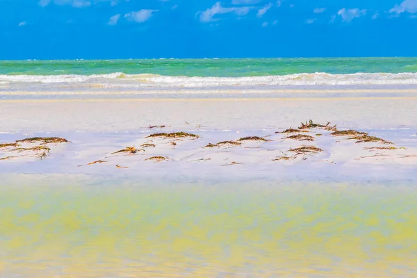Panorama Landscape View Beautiful Holbox Island Sandbank Beach Waves Turquoise — стокове фото